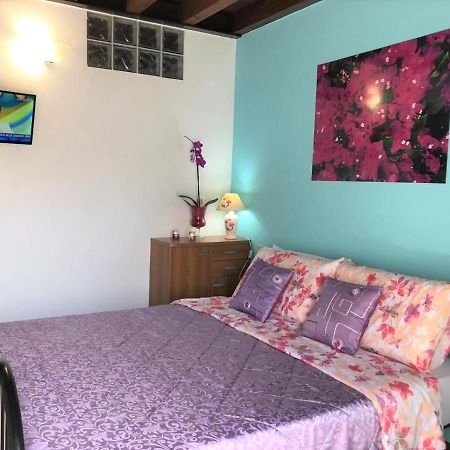 Oasi Di Paradiso - Comfy Private Apartment On Ground Floor With Terrace Десенцано дел Гарда Екстериор снимка